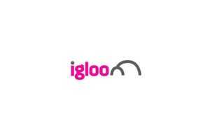 Igloo Energy - Famous Failed Startups and Businesses in the United Kingdom - lessonsatstartup