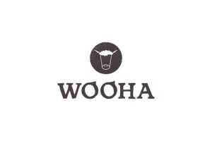 Wooha Brewing - Famous Failed Startups and Businesses in the United Kingdom - lessonsatstartup